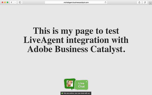 Интеграция LiveAgent с Adobe Business Catalyst